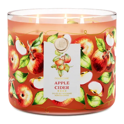 Apple Cider candle by Goose Creek
