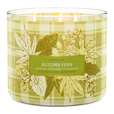 Autumn Fern candle by Goose Creek