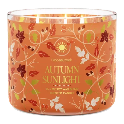 Autumn Sunlight candle by Goose Creek