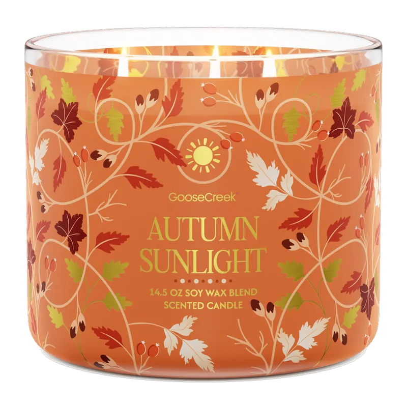 Autumn Sunlight candle by Goose Creek