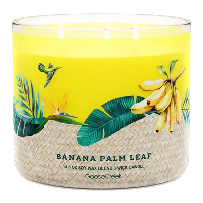 Banana Palm Leaf candle by Goose Creek