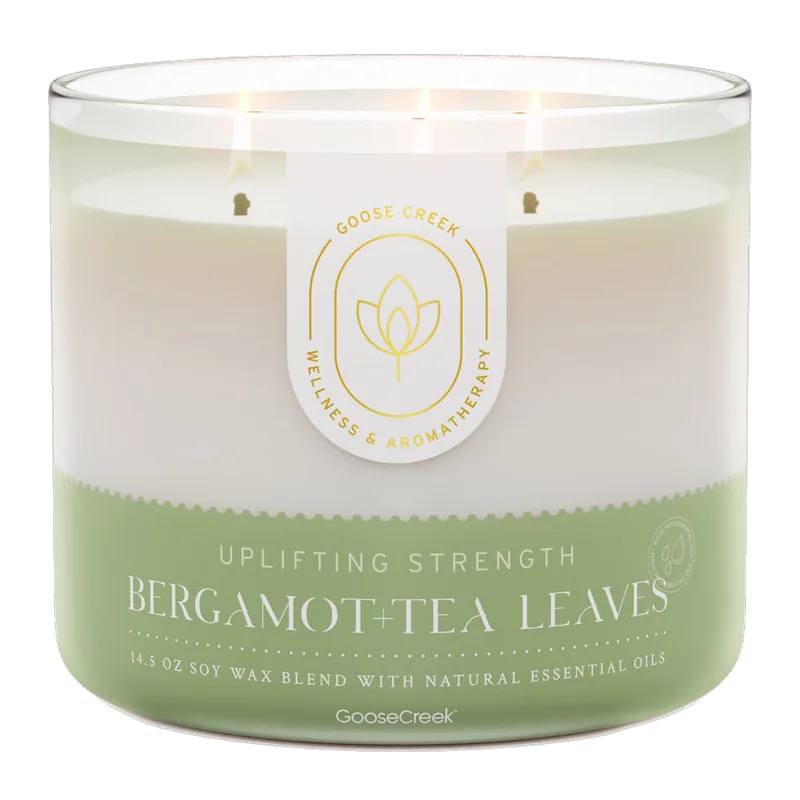 Bergamot & Tea Leaves candle by Goose Creek