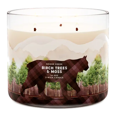 Birch Trees and Moss candle by Goose Creek