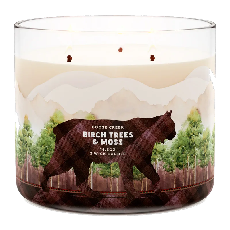 Birch Trees and Moss candle by Goose Creek