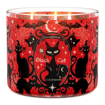 Black Cat candle by Goose Creek