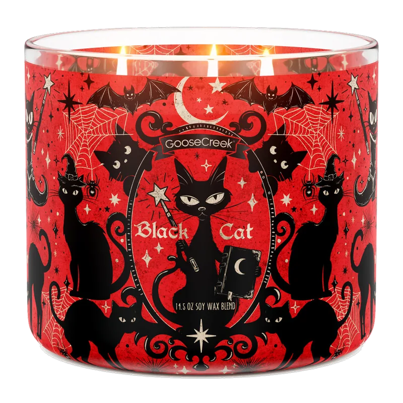 Black Cat candle by Goose Creek