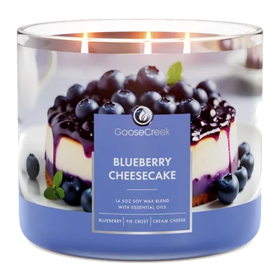 Blueberry Cheesecake candle by Goose Creek