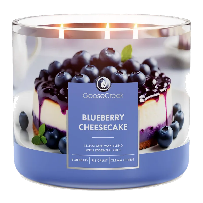 Blueberry Cheesecake candle by Goose Creek