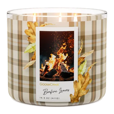 Bonfire Leaves candle by Goose Creek