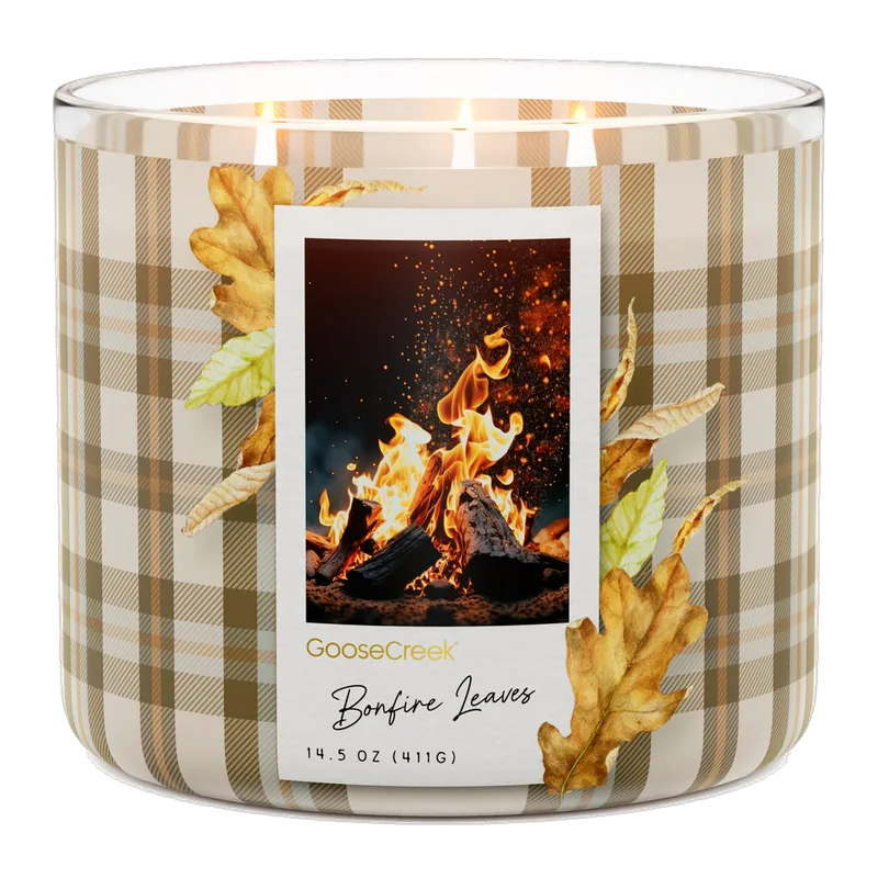 Bonfire Leaves candle by Goose Creek