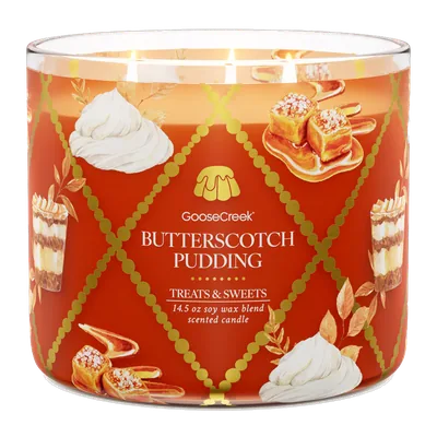 Butterscotch Pudding candle by Goose Creek