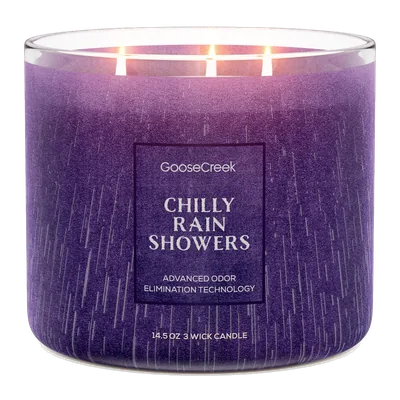 Chilly Rain Showers Odor Eliminating candle by Goose Creek