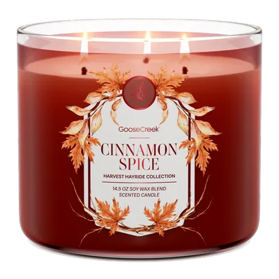 Cinnamon Spice candle by Goose Creek