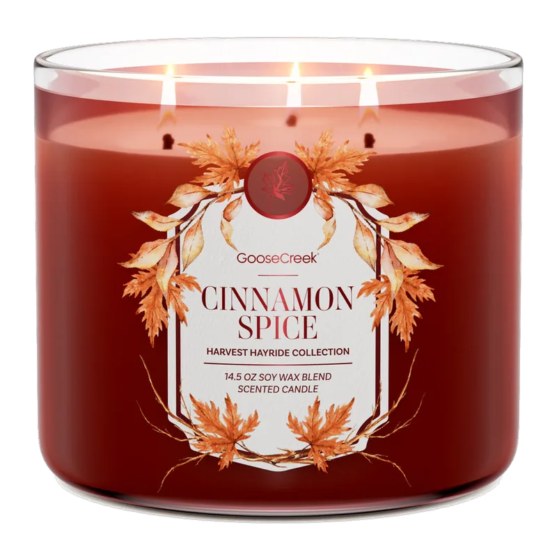 Cinnamon Spice candle by Goose Creek