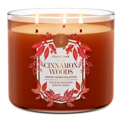 Cinnamon Woods candle by Goose Creek