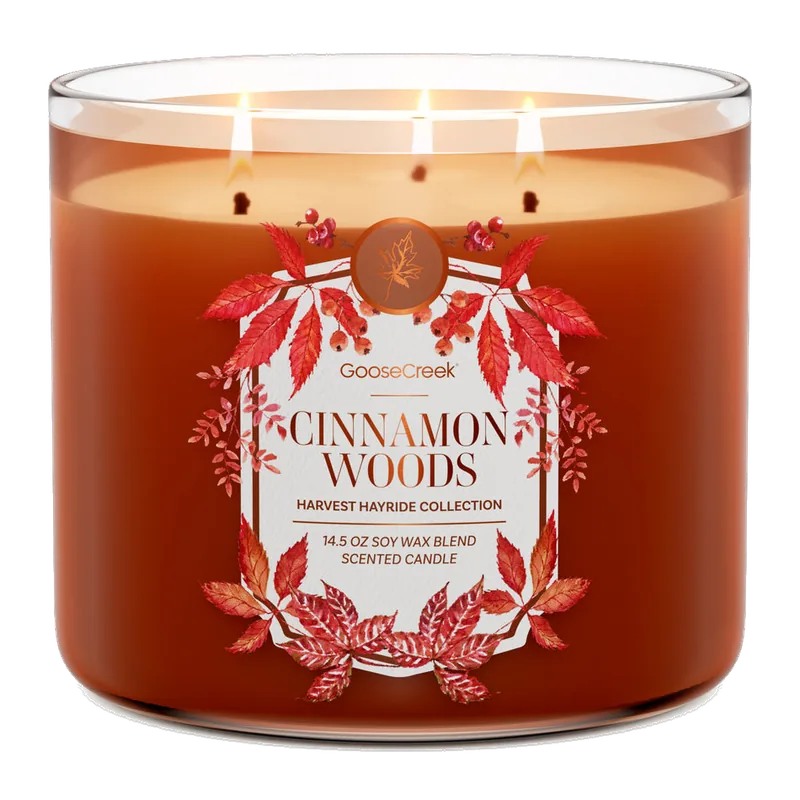 Cinnamon Woods candle by Goose Creek