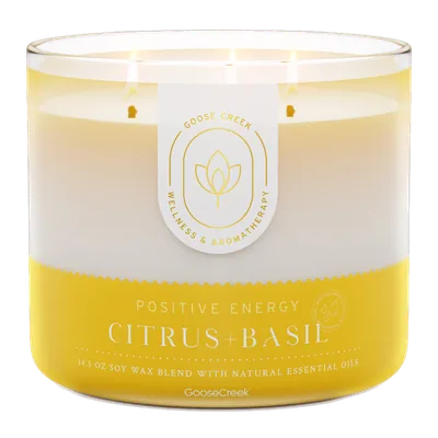 Citrus & Basil Aromatherapy Large candle by Goose Creek