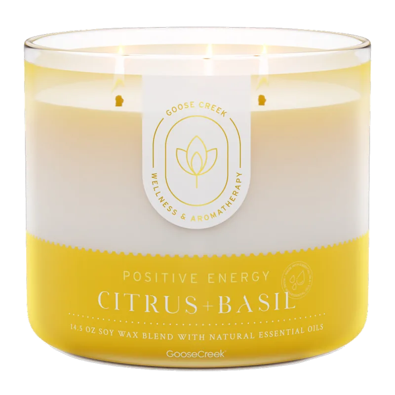 Citrus & Basil Aromatherapy Large candle by Goose Creek