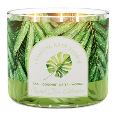 Coastal Rain Storm candle by Goose Creek