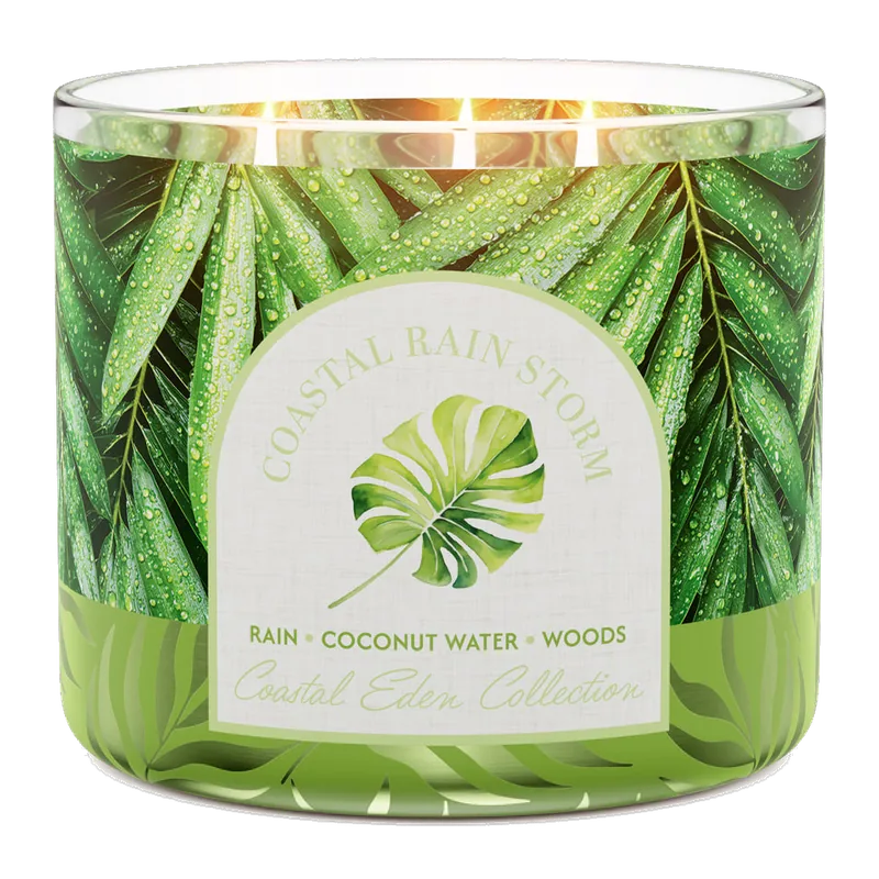 Coastal Rain Storm candle by Goose Creek
