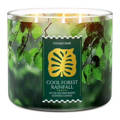 Cool Forest Rainfall candle by Goose Creek