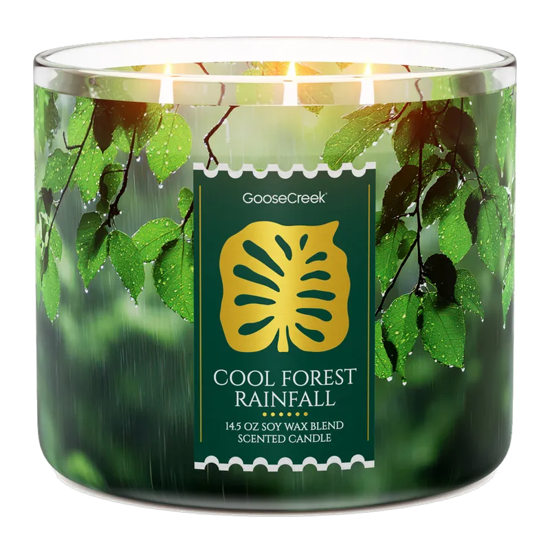 Cool Forest Rainfall candle by Goose Creek