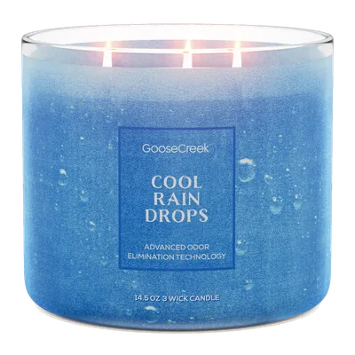 Cool Rain Drops Odor Eliminating candle by Goose Creek