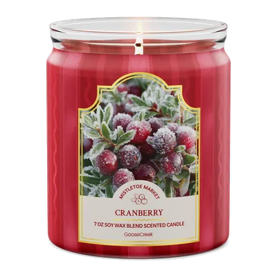 Cranberry candle by Goose Creek