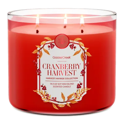 Cranberry Harvest candle by Goose Creek