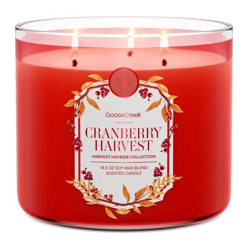Cranberry Harvest candle by Goose Creek