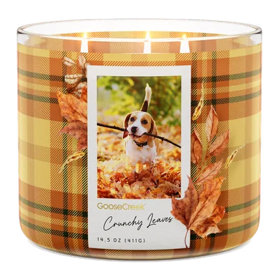 Crunchy Leaves candle by Goose Creek