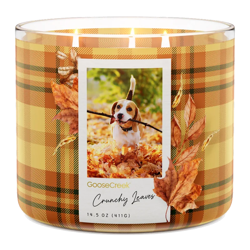 Crunchy Leaves candle by Goose Creek