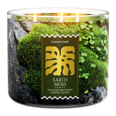Earth Moss candle by Goose Creek