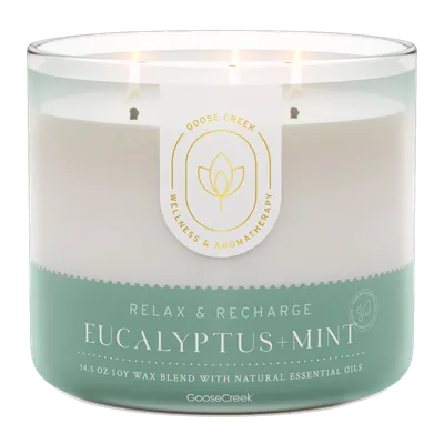 Eucalyptus & Mint candle by Goose Creek