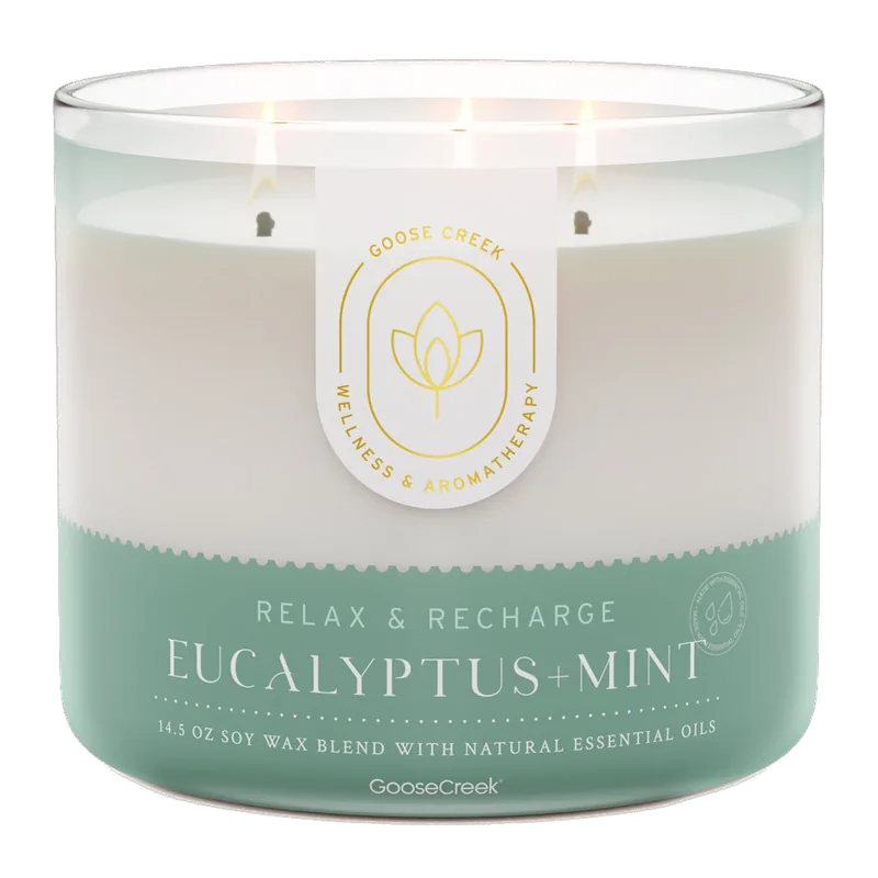Eucalyptus & Mint candle by Goose Creek