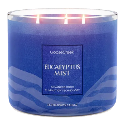 Eucalyptus Mist Odor Eliminating candle by Goose Creek