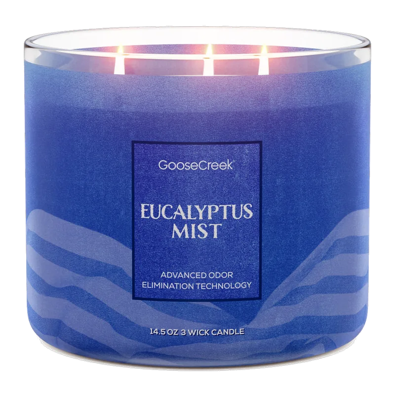 Eucalyptus Mist Odor Eliminating candle by Goose Creek