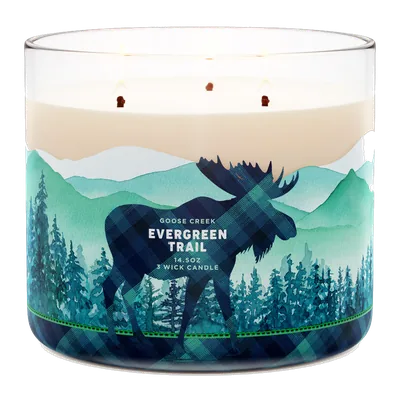 Evergreen Trail candle by Goose Creek