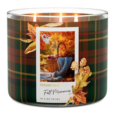 Fall Memories candle by Goose Creek