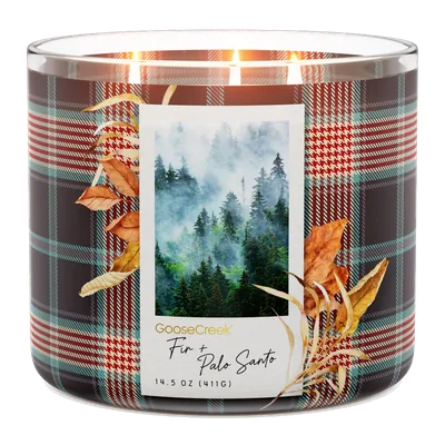 Fir & Palo Santo candle by Goose Creek