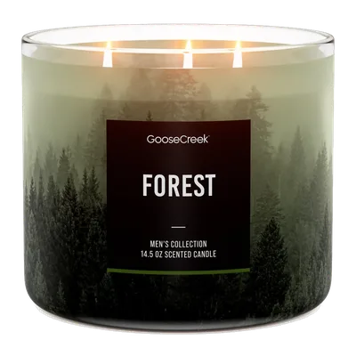 Forest candle by Goose Creek