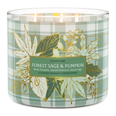 Forest Sage & Pumpkin candle by Goose Creek