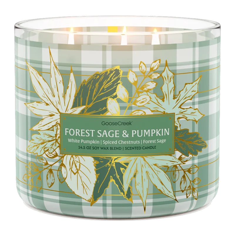 Forest Sage & Pumpkin candle by Goose Creek
