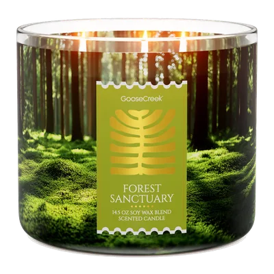 Forest Sanctuary candle by Goose Creek
