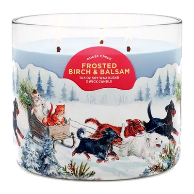 Frosted Birch & Balsam candle by Goose Creek