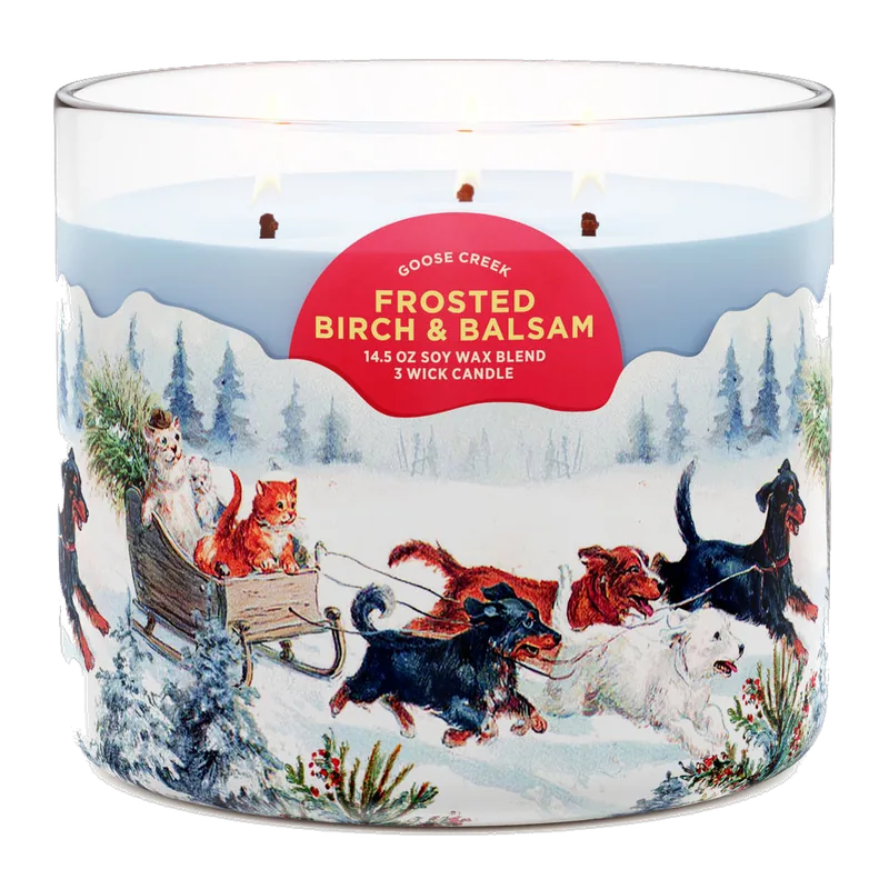 Frosted Birch & Balsam candle by Goose Creek