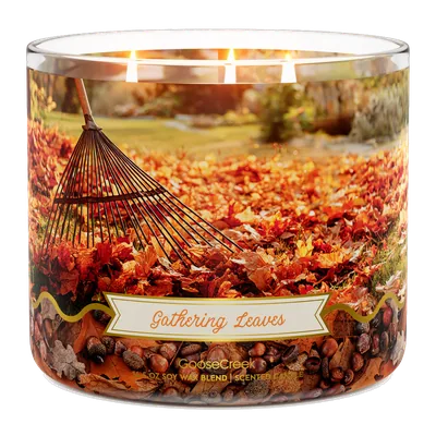 Gathering Leaves candle by Goose Creek