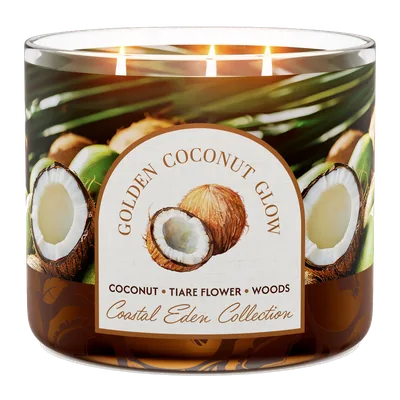 Golden Coconut Glow candle by Goose Creek