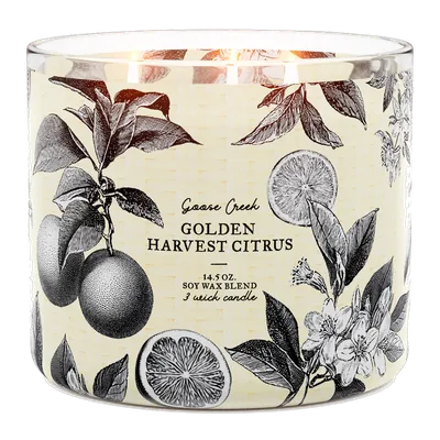 Golden Harvest Citrus candle by Goose Creek
