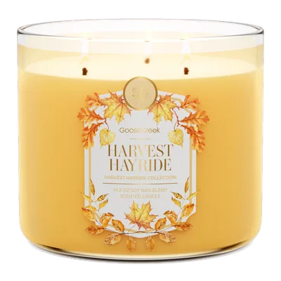 Harvest Hayride candle by Goose Creek